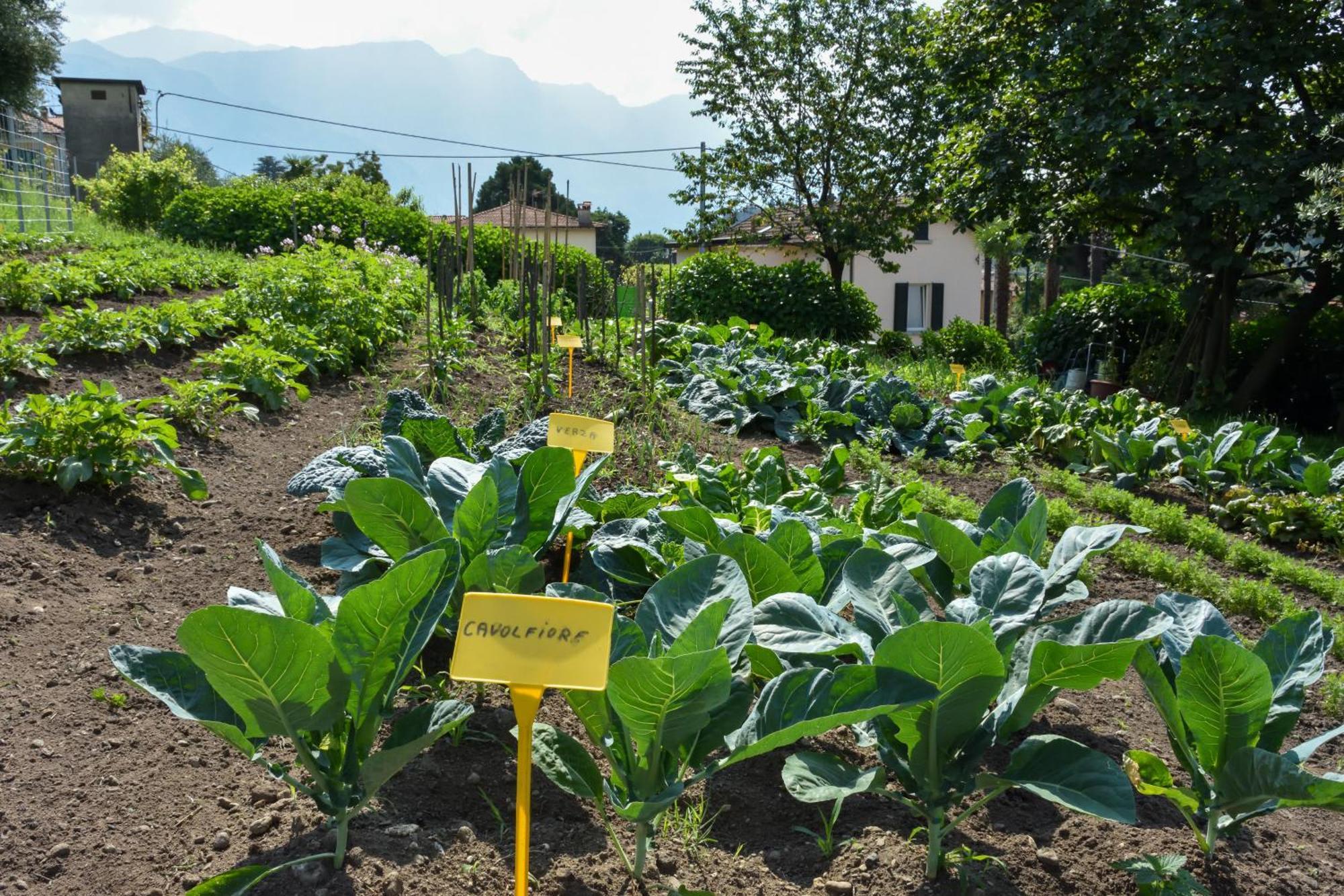 Agriturismo Il Colle Bellagio