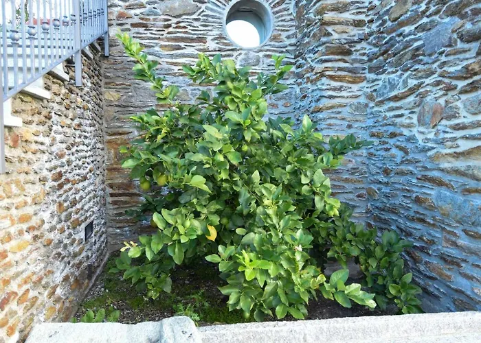 Agriturismo Il Colle