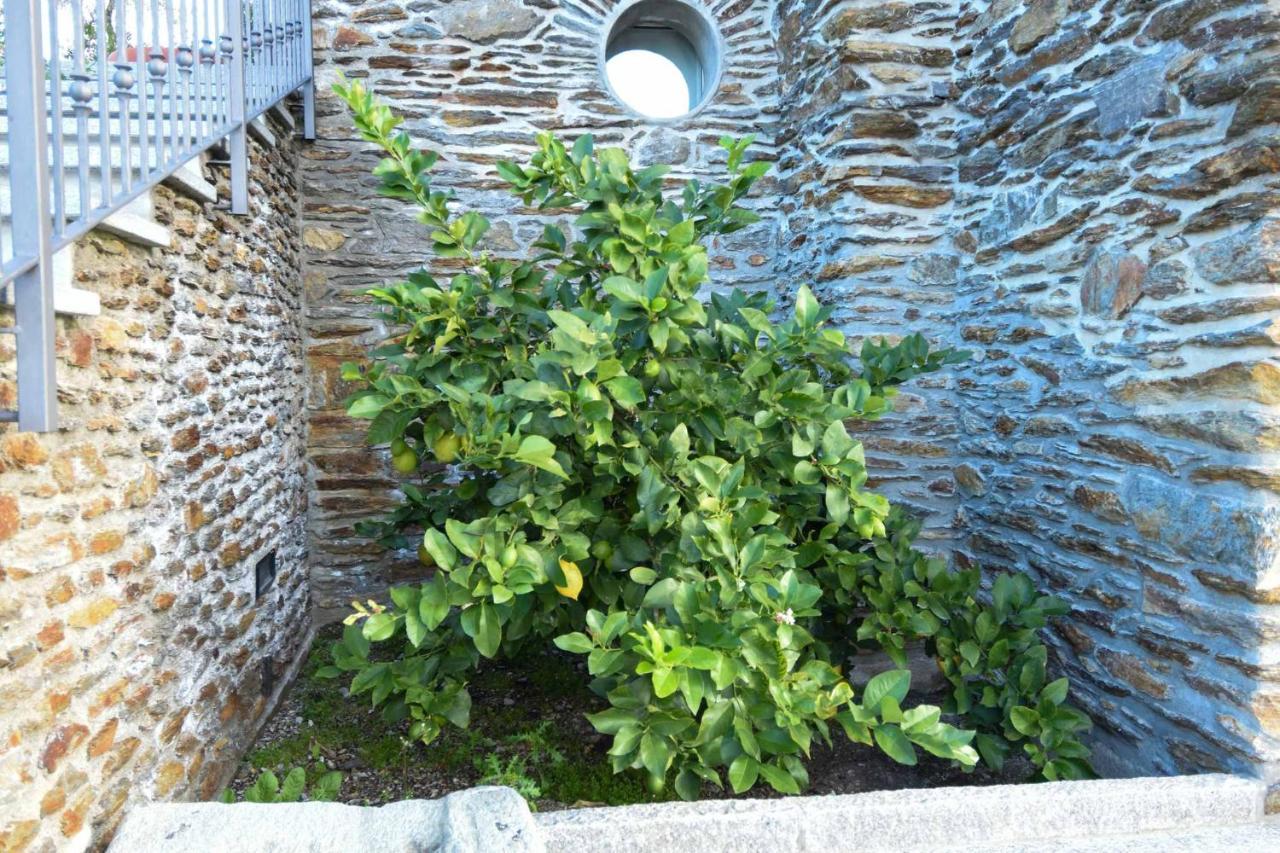 Bauernhof Il Colle *