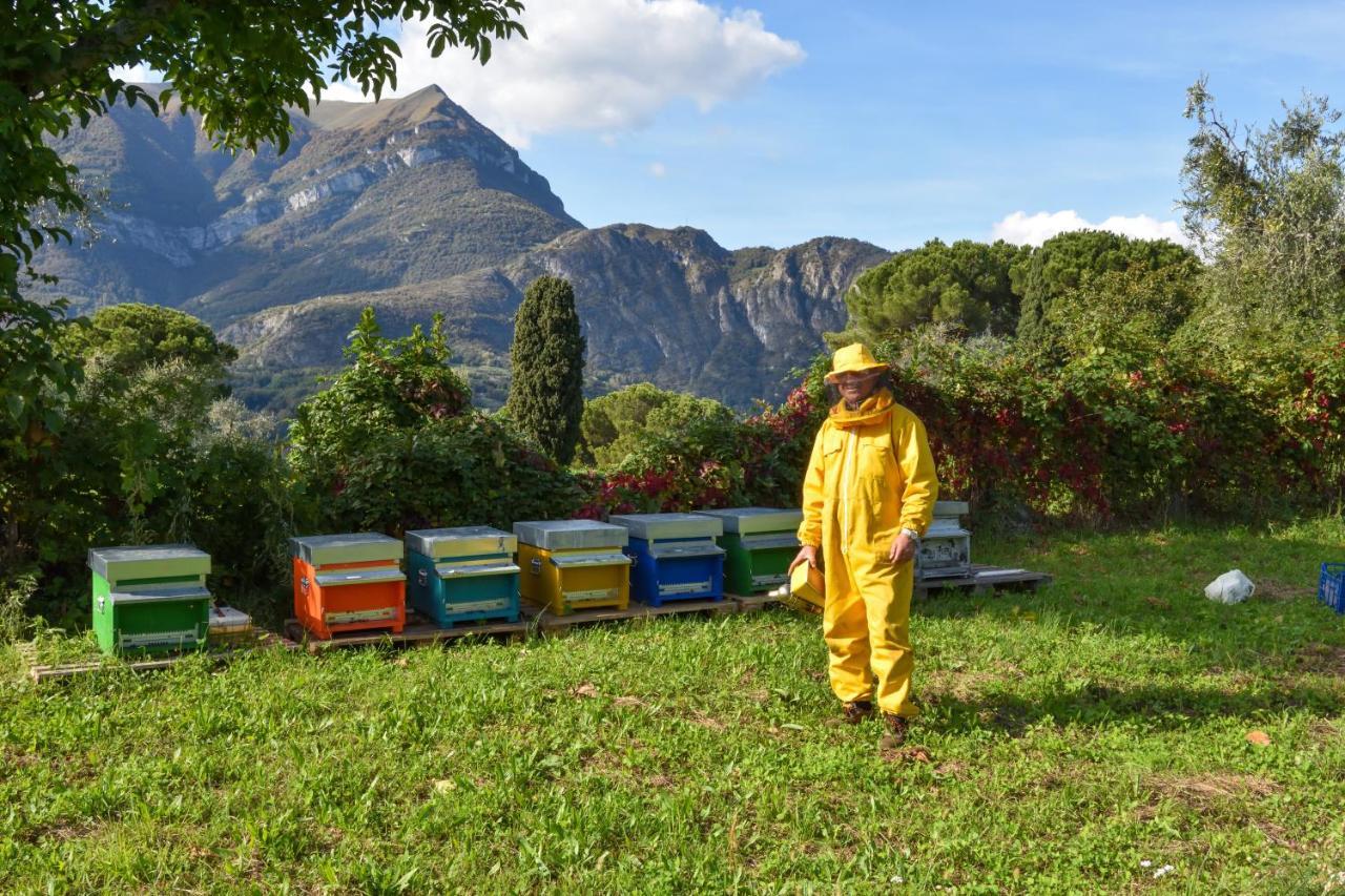 Bauernhof Agriturismo Il Colle Bellagio