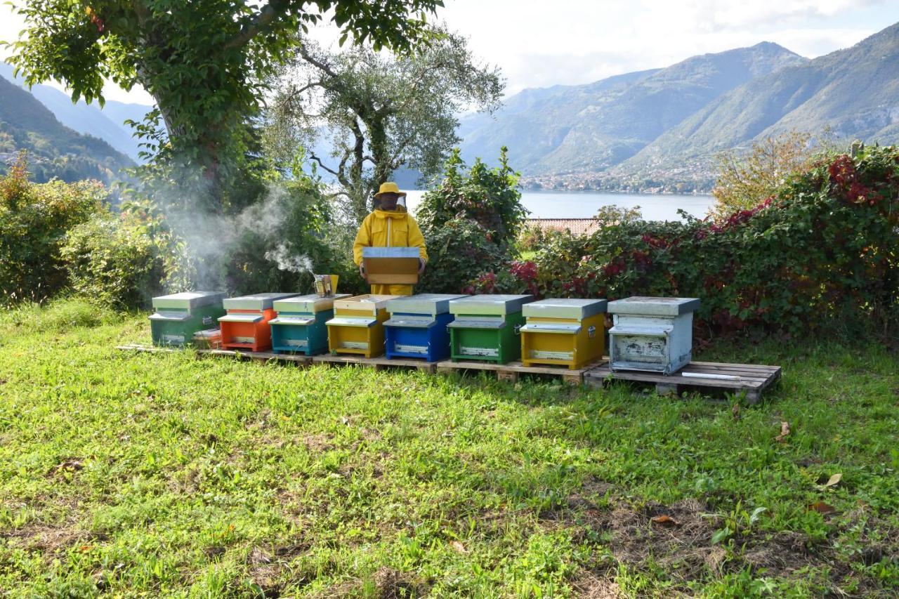 Il Colle Séjour à la ferme *